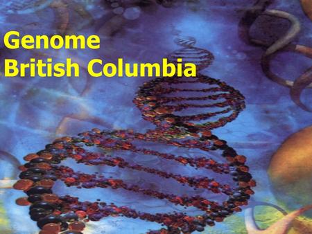 Genome British Columbia. OUR VISION To be amongst the leaders worldwide in using innovative approaches to bringing the benefits of genomics to socio-economic.