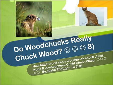 Do Woodchucks Really Chuck Wood? 8) How Much wood can a woodchuck chuck chuck wood If A woodchuck Could Chuck Wood By, Blake Roettgen 8) 8) 8)