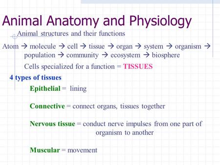 Animal Anatomy and Physiology
