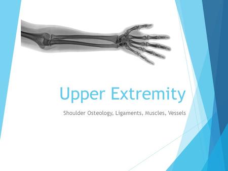 Upper Extremity Shoulder Osteology, Ligaments, Muscles, Vessels.