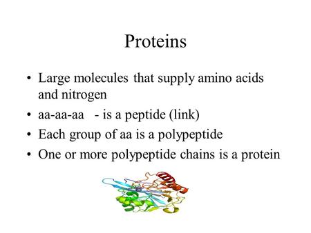 Proteins Large molecules that supply amino acids and nitrogen aa-aa-aa - is a peptide (link) Each group of aa is a polypeptide One or more polypeptide.