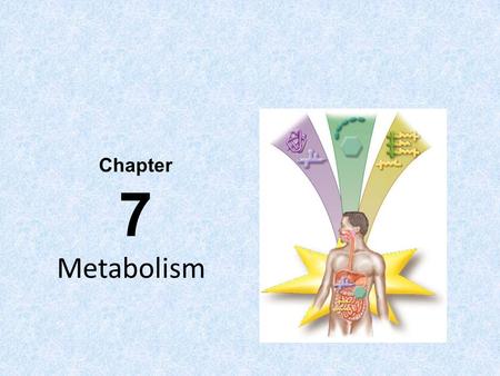 Metabolism Chapter 7. Metabolism Metabolism: All chemical reactions within organisms that enable them to sustain life. The two main categories are catabolism.