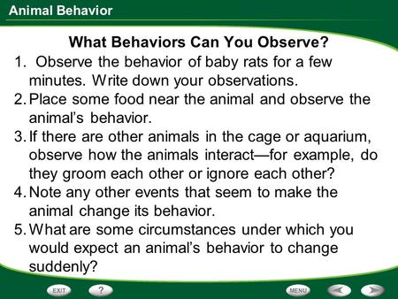 What Behaviors Can You Observe?