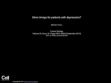 Silver linings for patients with depression? Michael Gross Current Biology Volume 24, Issue 18, Pages R851-R854 (September 2014) DOI: 10.1016/j.cub.2014.08.059.