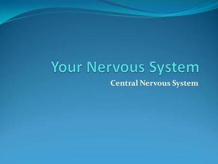 Central Nervous System. Mad Dog! Biology and Behaviour What behavioural and biological processes are occurring when faced with a danger such as seen.