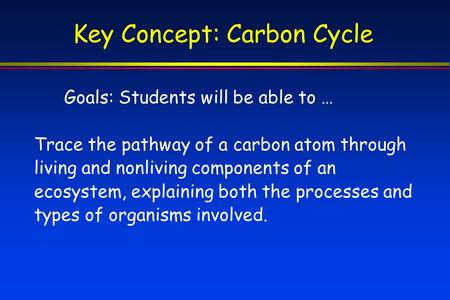 Key Concept: Carbon Cycle