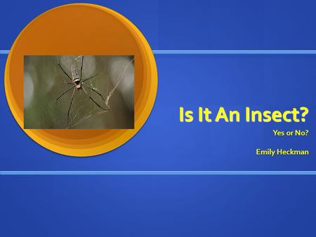 Is It An Insect? Yes or No? Emily Heckman. What is an Insect? Is there truly a difference among bugs, arachnids, crustaceans, and insects? Is there truly.