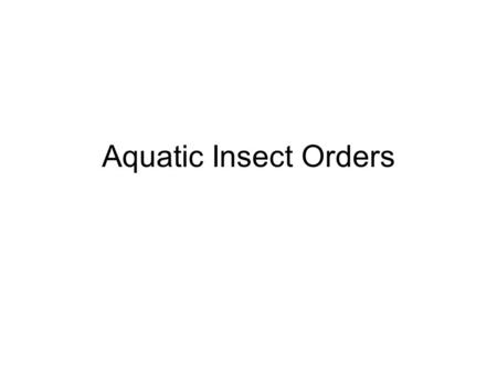 Aquatic Insect Orders. Aquatic Insects Insects are largely terrestrial. But there have been numerous colonizations of the freshwater aquatic environment.