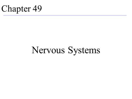 Chapter 49 Nervous Systems.