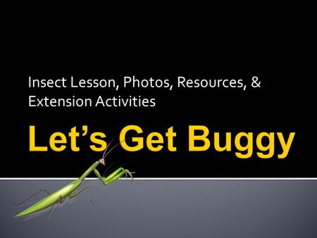 Insect Lesson, Photos, Resources, & Extension Activities.