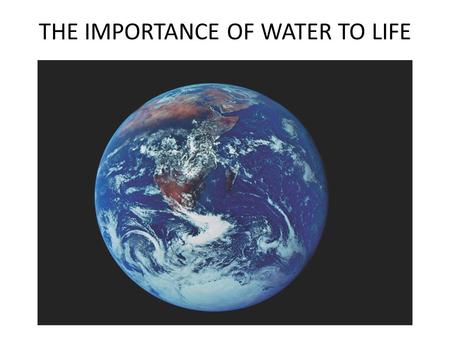 THE IMPORTANCE OF WATER TO LIFE