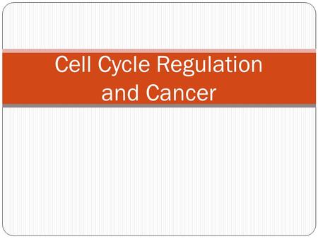 Cell Cycle Regulation and Cancer. 3 Checkpoints Control the cell cycle (inspection points) Make sure the cell is ready to move into the next phase. Mitosis.