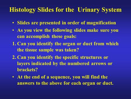 Histology Slides for the Urinary System