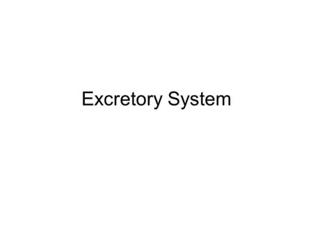 Excretory System.