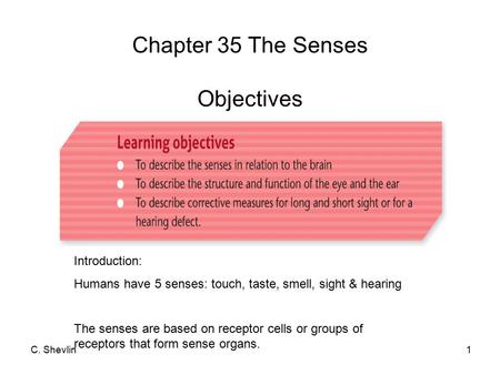 C. Shevlin1 Chapter 35 The Senses Objectives Introduction: Humans have 5 senses: touch, taste, smell, sight & hearing The senses are based on receptor.