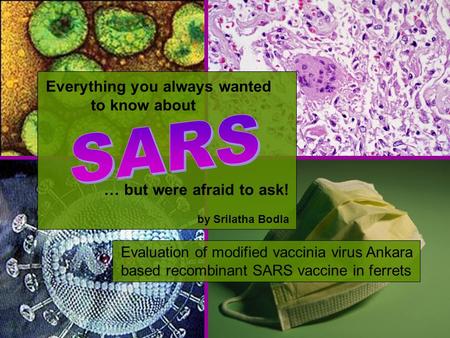 1 Everything you always wanted to know about … but were afraid to ask! by Srilatha Bodla Evaluation of modified vaccinia virus Ankara based recombinant.