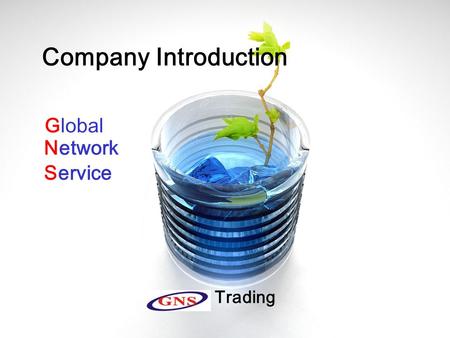 1 Company Introduction GNS Trading Global Network Service.