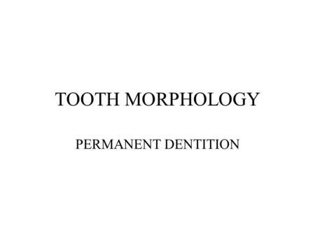 TOOTH MORPHOLOGY PERMANENT DENTITION.