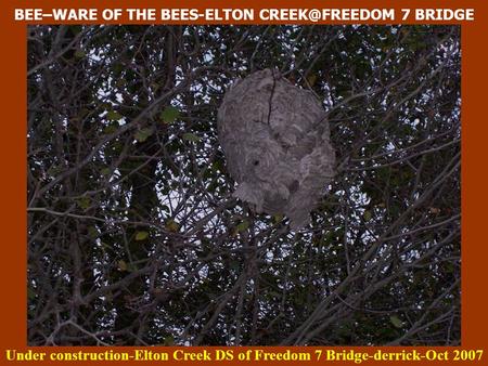 BEE–WARE OF THE BEES-ELTON 7 BRIDGE Under construction-Elton Creek DS of Freedom 7 Bridge-derrick-Oct 2007.