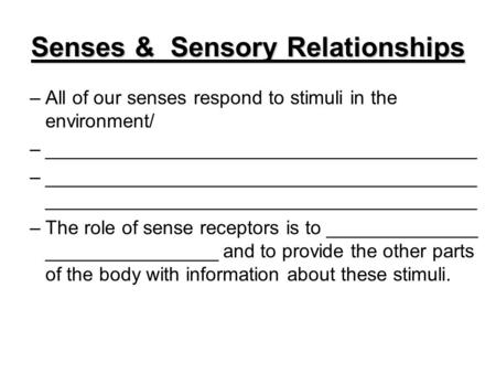 Senses & Sensory Relationships –All of our senses respond to stimuli in the environment/ –________________________________________ –________________________________________.
