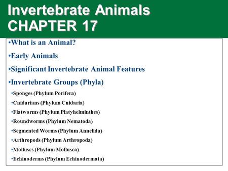 Invertebrate Animals CHAPTER 17 What is an Animal? Early Animals Significant Invertebrate Animal Features Invertebrate Groups (Phyla) Sponges (Phylum Porifera)