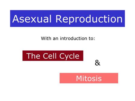 Asexual Reproduction Mitosis The Cell Cycle With an introduction to: &