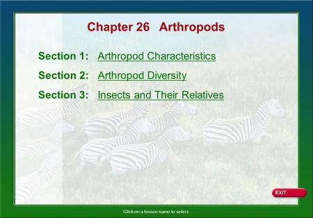 Chapter 26 Arthropods Section 1: Arthropod Characteristics