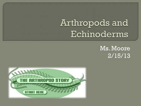 Ms. Moore 2/15/13.  Phylum: Arthropoda  What is an Arthropod? Arthropods have a segmented body, a tough exoskeleton, and jointed appendages  Exoskeleton: