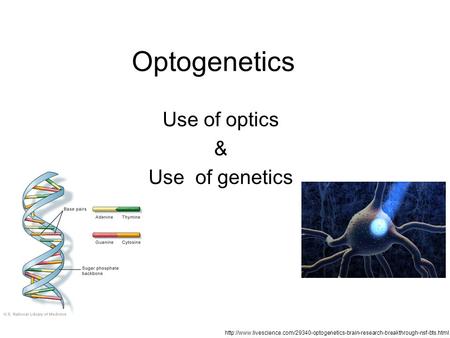 Optogenetics Use of optics & Use of genetics