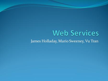 James Holladay, Mario Sweeney, Vu Tran. Web Services Presentation Web Services Theory James Holladay Tools – Visual Studio Vu Tran Tools – Net Beans Mario.