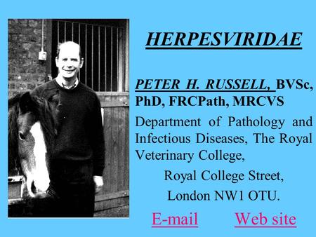 HERPESVIRIDAE PETER H. RUSSELL, BVSc, PhD, FRCPath, MRCVS Department of Pathology and Infectious Diseases, The Royal Veterinary College, Royal College.