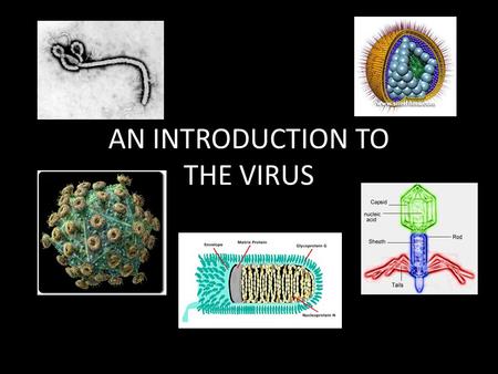 AN INTRODUCTION TO THE VIRUS. LIVING OR NON-LIVING NO, because…  Acellular  Lack both DNA & RNA  Not reproduce on own Must be inside host cell  Not.