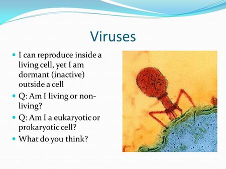 Viruses I can reproduce inside a living cell, yet I am dormant (inactive) outside a cell Q: Am I living or non- living? Q: Am I a eukaryotic or prokaryotic.