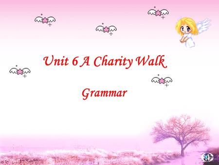 Unit 6 A Charity Walk Grammar. Lead in A disabled personA blind person An elderly person A homeless person.