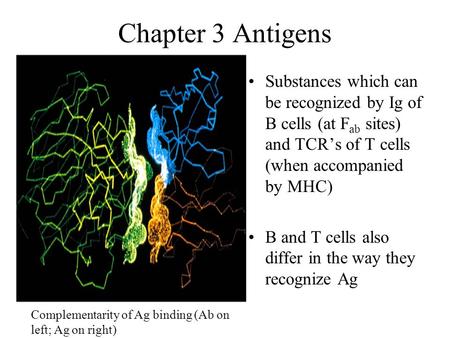 Chapter 3 Antigens Substances which can be recognized by Ig of B cells (at F ab sites) and TCR’s of T cells (when accompanied by MHC) B and T cells also.