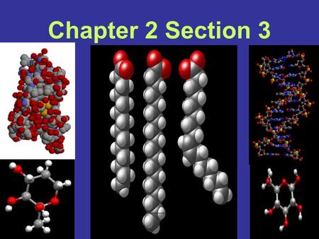 Chapter 2 Section 3. Carbon The main ingredient of organic molecules Life w/o Carbon is as unlikely as life w/o H 2 O Atomic # 6 –6 PROTONS –6 NEUTRONS.