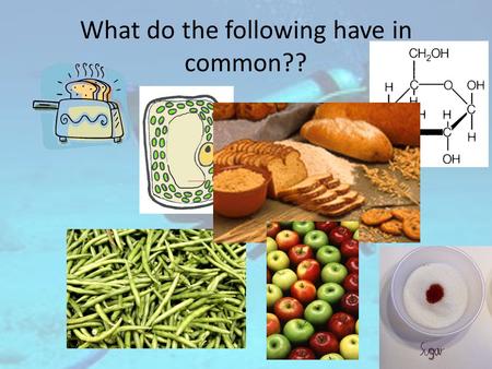 What do the following have in common?? What does this scuba diver eat to provide energy on a big dive? Meat? Bread? Fruit? Butter? Do you know what these.