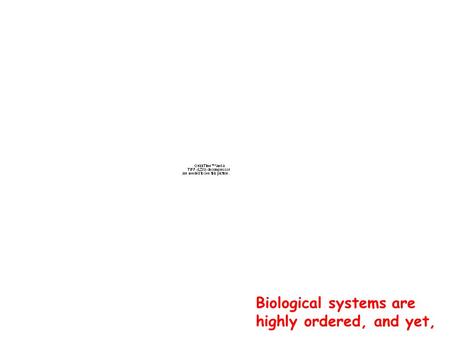 Biological systems are highly ordered, and yet,. Disorder reigns! Entropy rules! Everything’s falling apart!