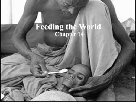 Feeding the World Chapter 14 Feeding the World Chapter 14.