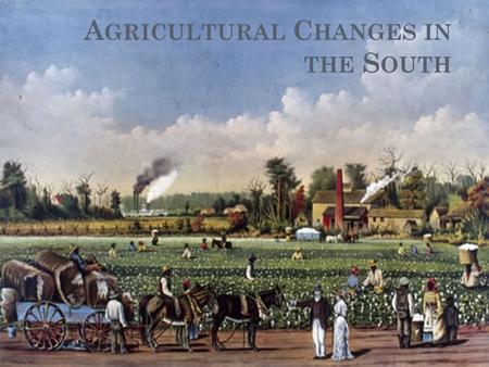 Agricultural Changes in the South