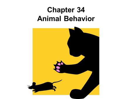Chapter 34 Animal Behavior
