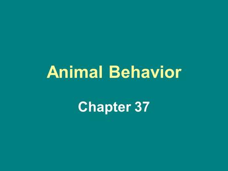 Animal Behavior Chapter 37. Animal Behavior Basically Stimulus and Response Link to Your Genes & Culture Remember the Pillbugs.