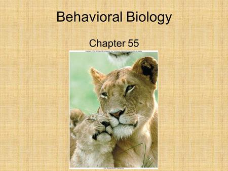 Behavioral Biology Chapter 55