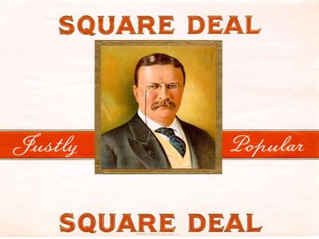 Mr. Bermudez Square Deal. Crash Course