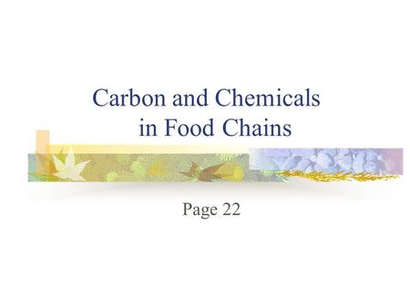 Carbon and Chemicals in Food Chains Page 22. . THE CARBON CYCLE Carbon is the key element of life Carbon does not decrease as it moves up a food chain,