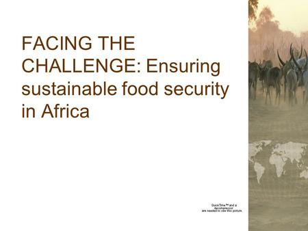 FACING THE CHALLENGE: Ensuring sustainable food security in Africa.