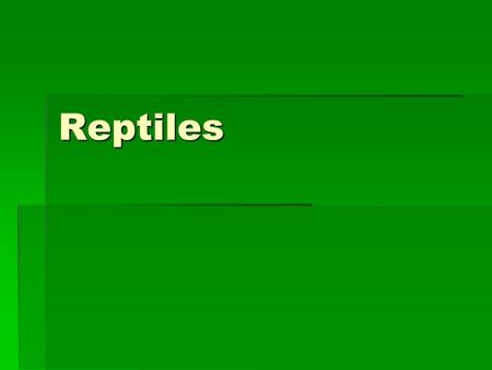 Reptiles. Reptile Classification  Lizards and Snakes  Crocodiles and Alligators  Turtles and tortoises 