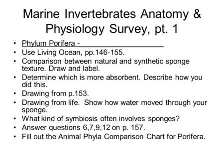 Marine Invertebrates Anatomy & Physiology Survey, pt. 1