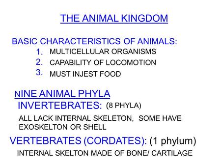 THE ANIMAL KINGDOM BASIC CHARACTERISTICS OF ANIMALS: 1. 2. 3. N INE ANIMAL PHYLA INVERTEBRATES: VERTEBRATES (CORDATES): (1 phylum) MULTICELLULAR ORGANISMS.