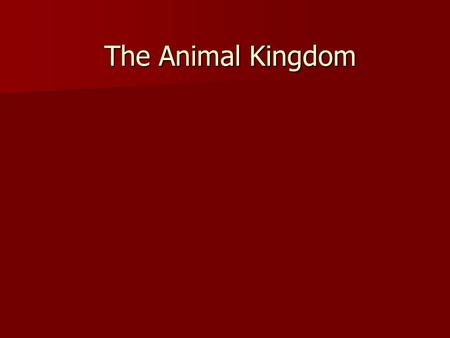 The Animal Kingdom.